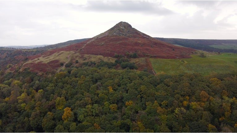 Aerial shot of Roseberry Topping and the woodland below